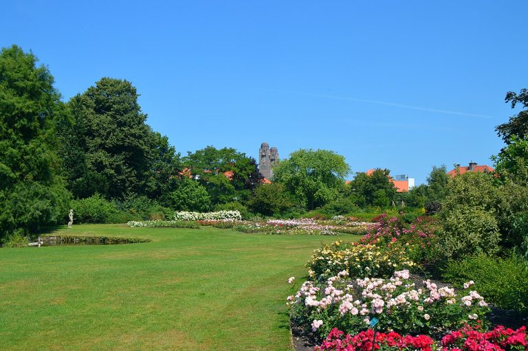 Rozenfestival Westbroekpark — Markten in Scheveningen
