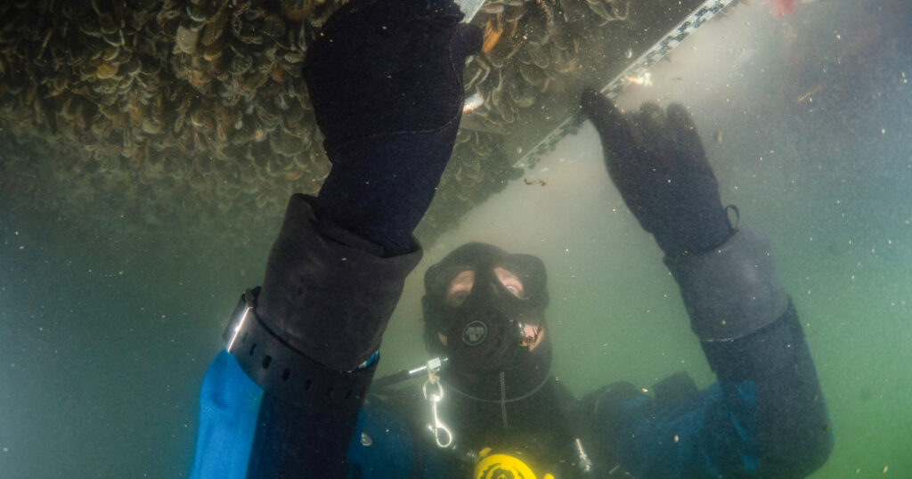 Beyond the Surface in Scheveningen