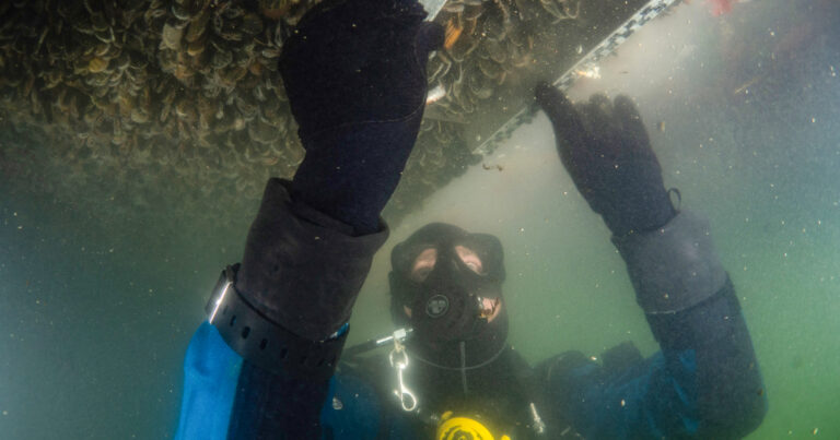 Beyond the Surface — museum-expo in Scheveningen